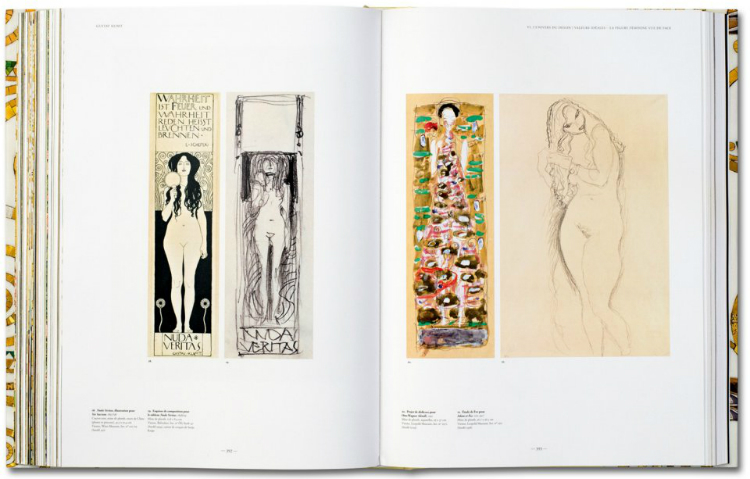 The definitive Gustav Klimt Paintings Book