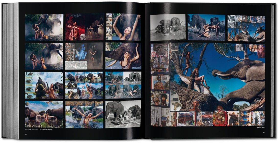 Book Review Pirelli the Calendar - 50 Years And More (6)