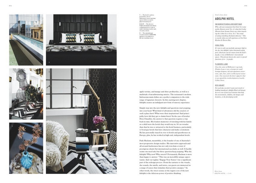 Interior Design The Design Hotels Book (4)